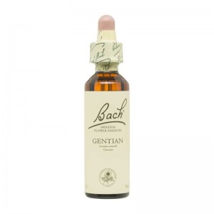 Flor nº 12 Gentian 20ml Bach