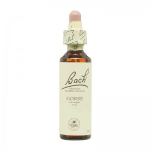 Flor nº 13 Gorse 20ml Bach